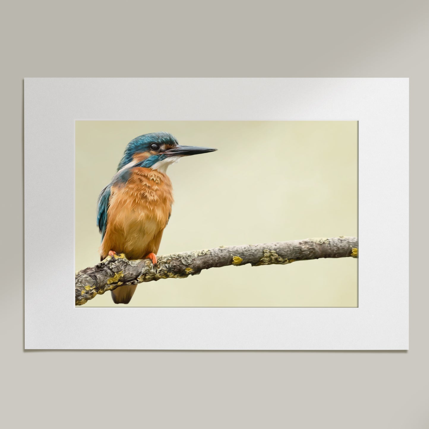 'Perch' Kingfisher Drawing