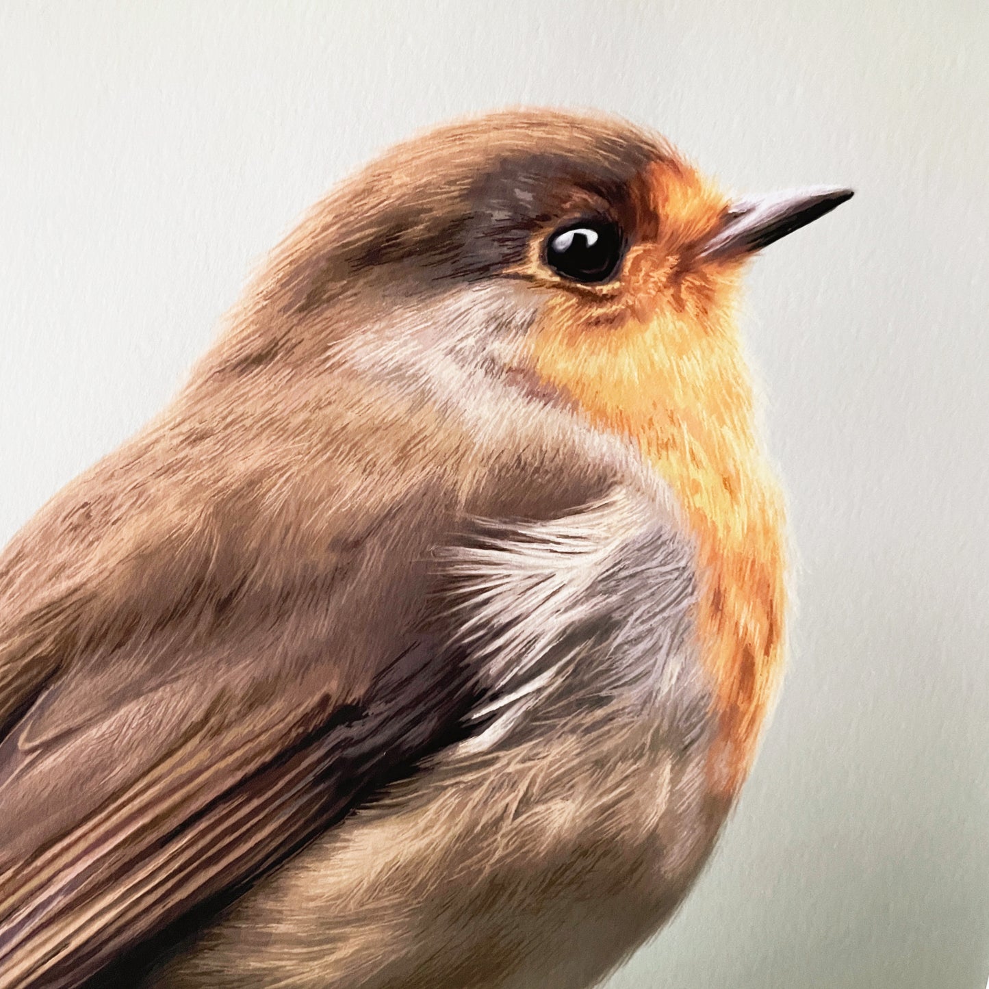 'Winter Warmer' Limited Edition Print