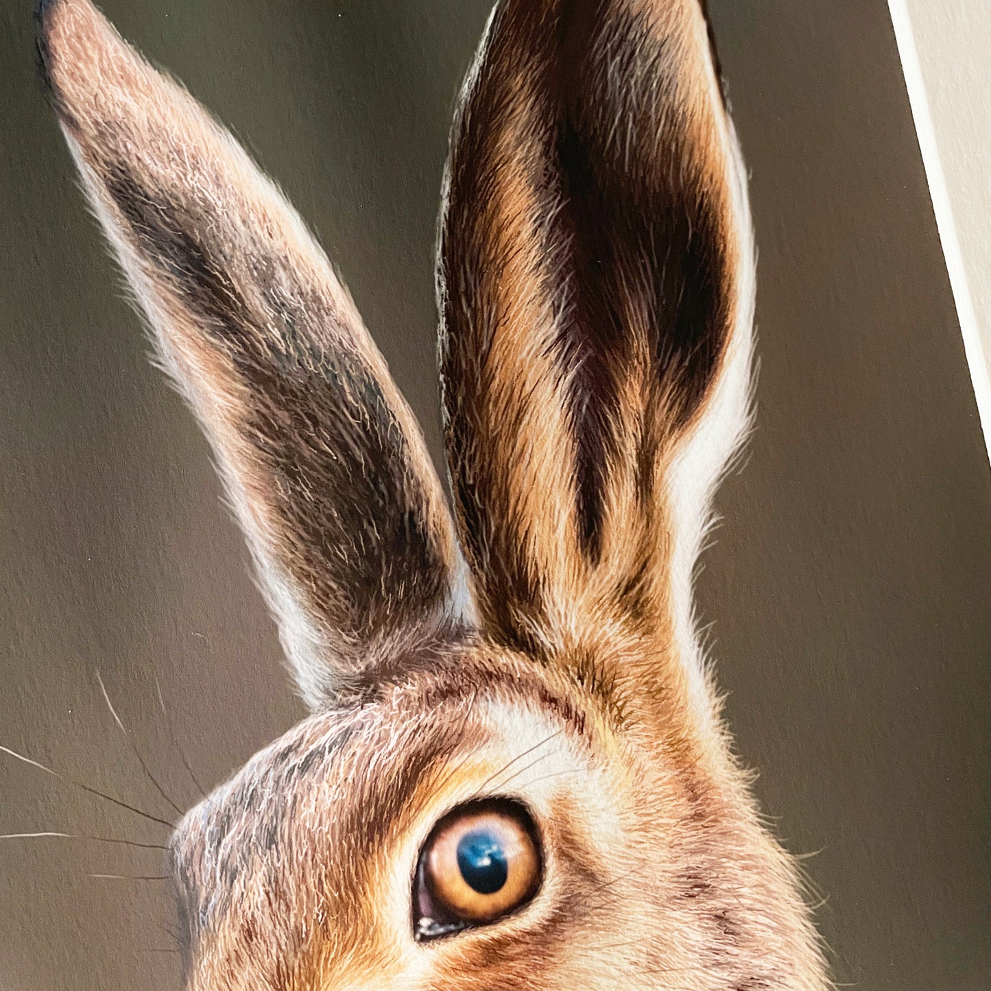 ‘Mr Brown’ Limited Edition Print