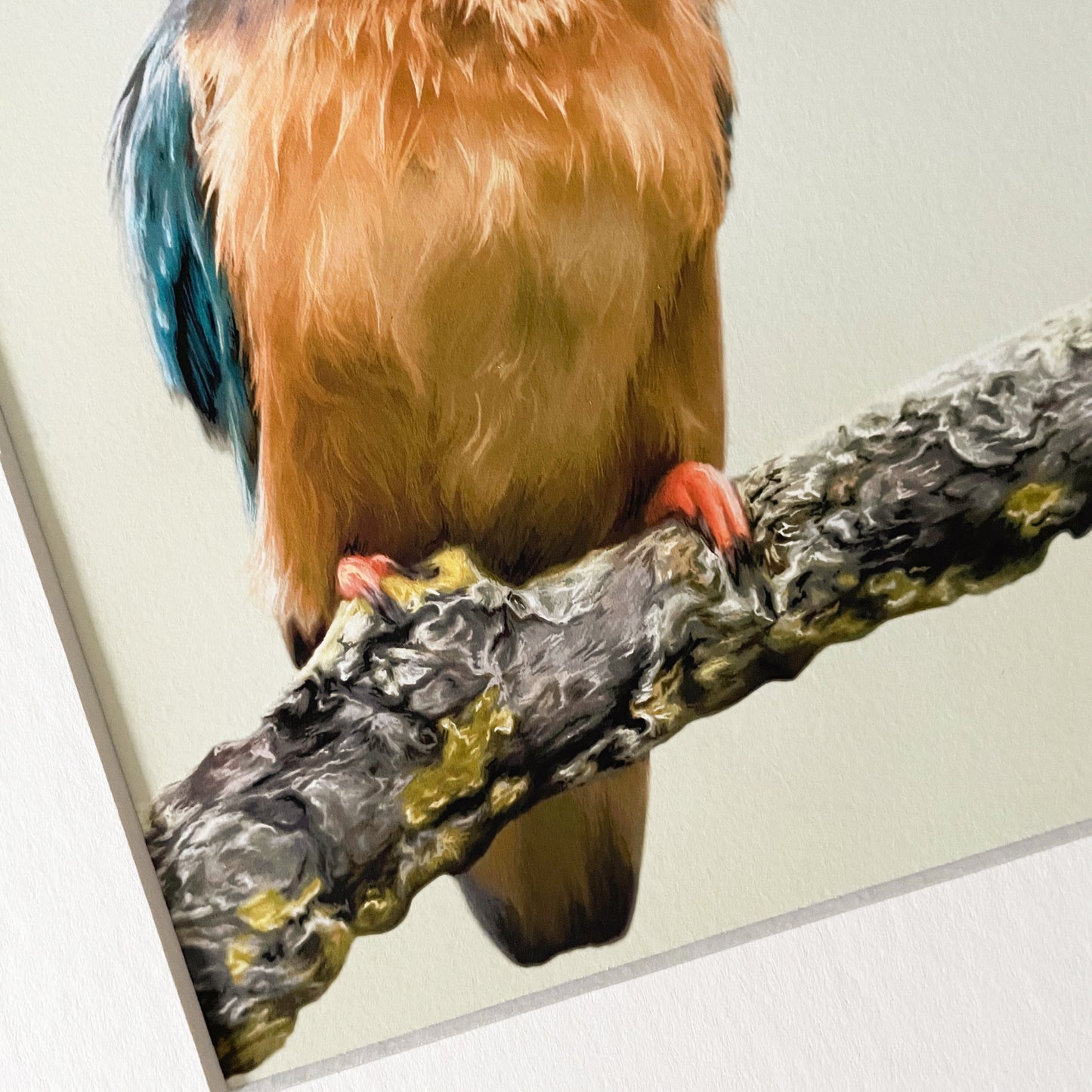 'Perch' Kingfisher Drawing