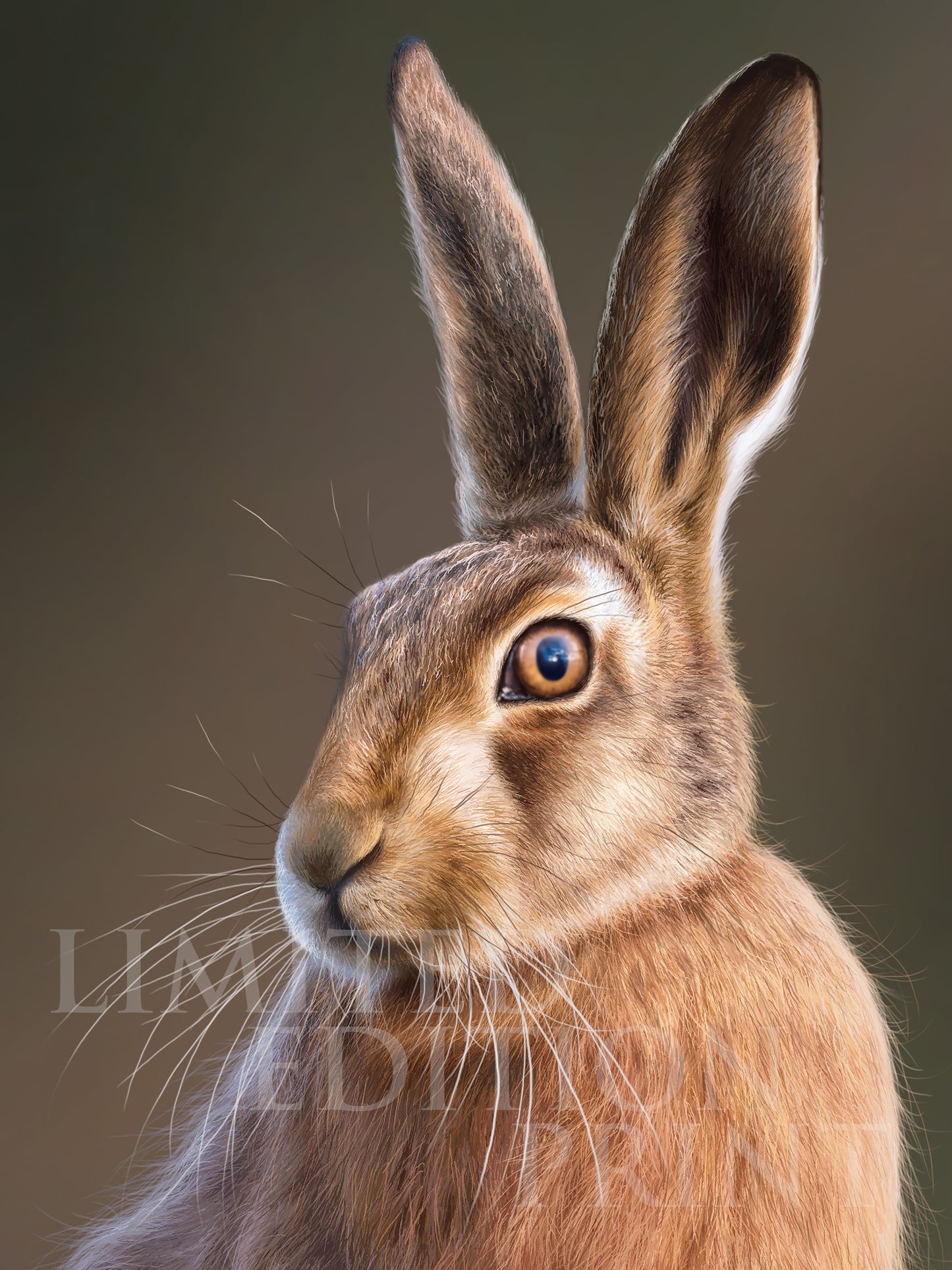 ‘Mr Brown’ Limited Edition Drawing