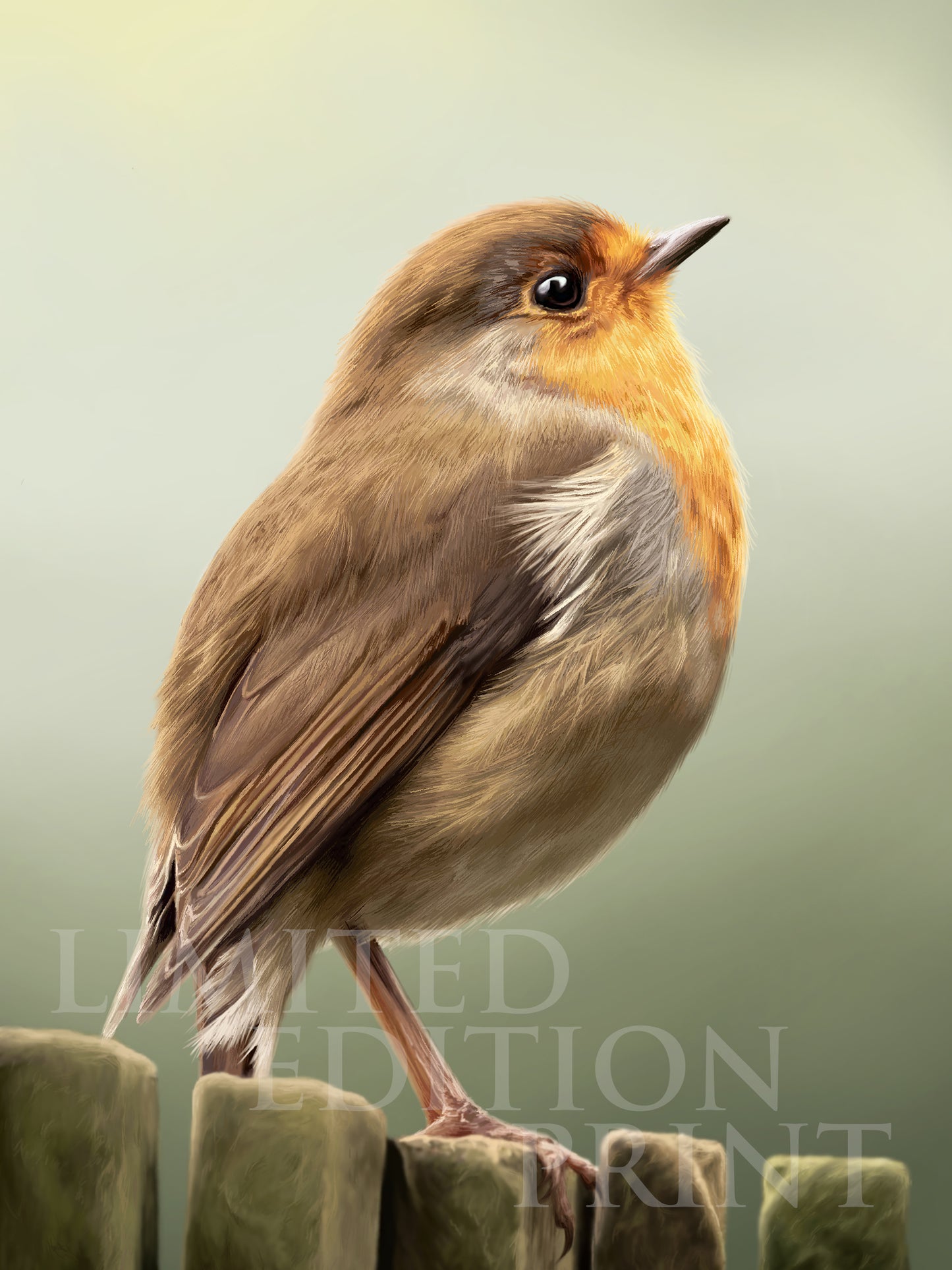 'Winter Warmer' Limited Edition Drawing