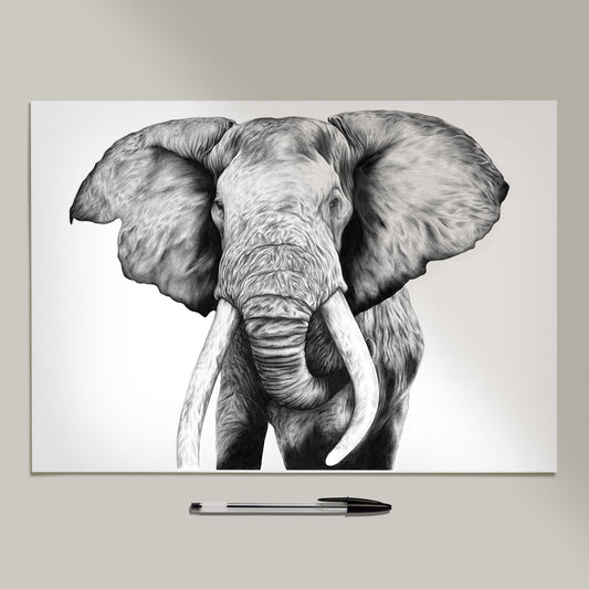 'Gargantuan' Elephant Drawing