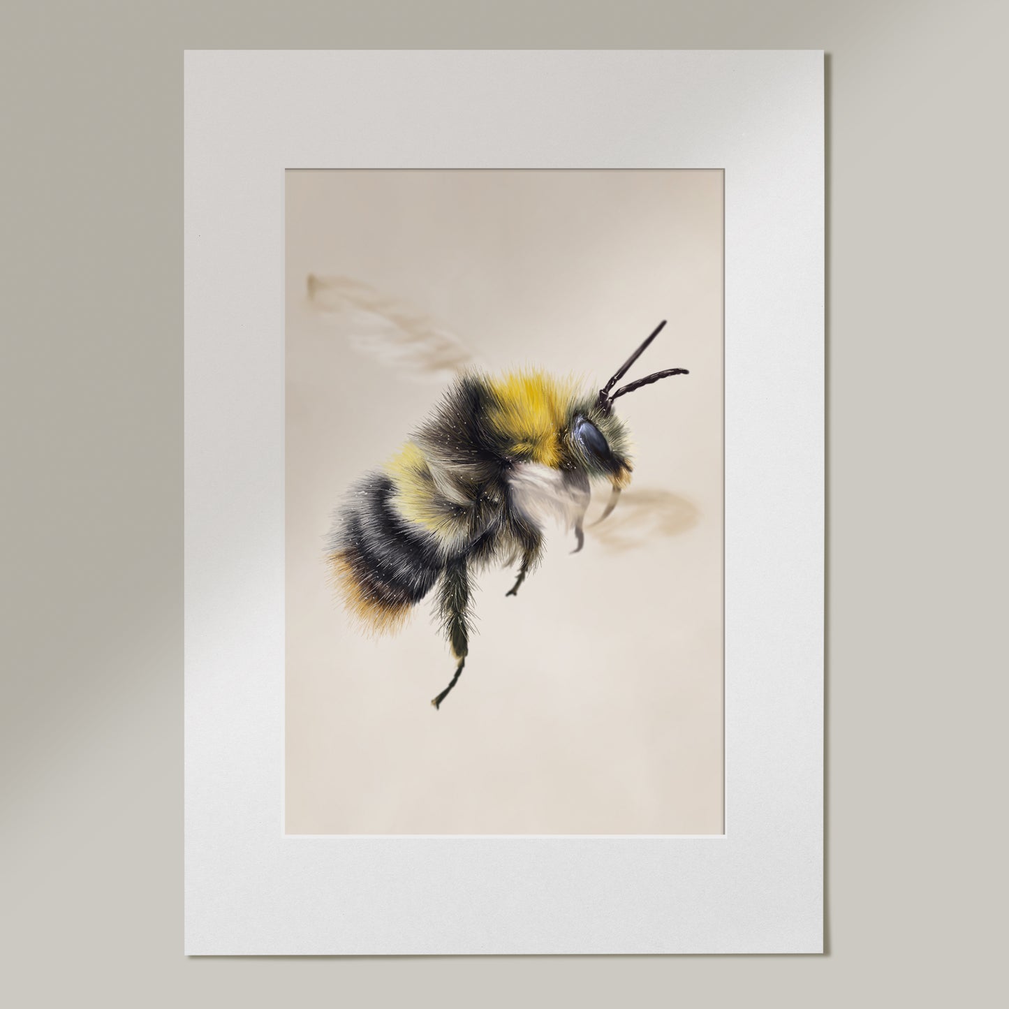 'Honey' Limited Edition Drawing