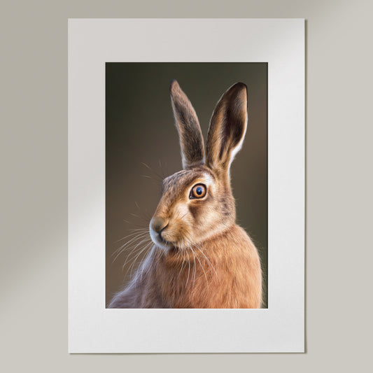 ‘Mr Brown’ Limited Edition Print