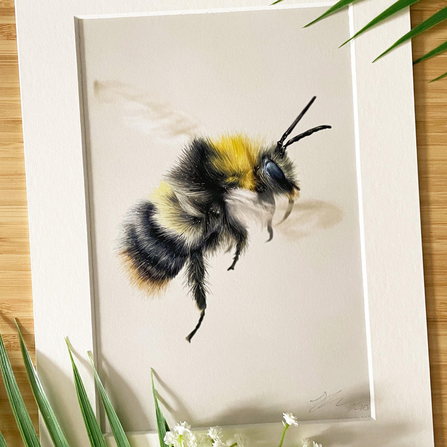 'Honey' Limited Edition Wildlife Drawing